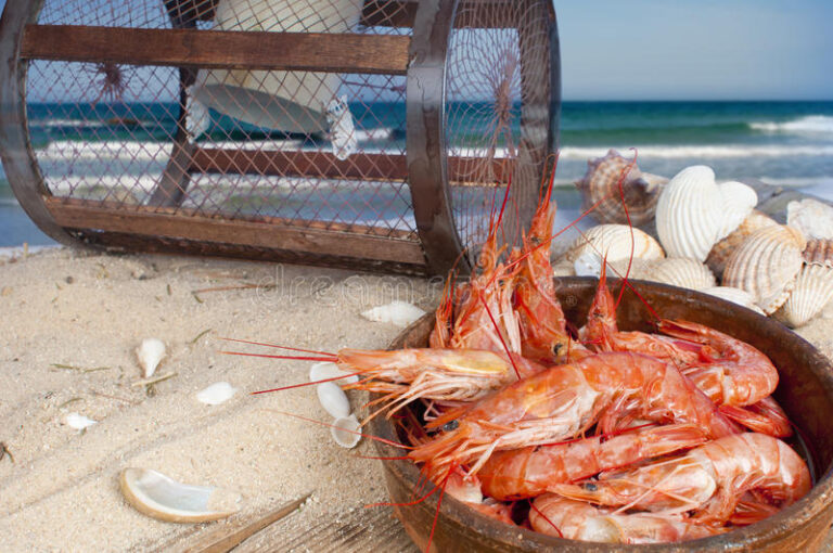 На запорожском курорте люди массово отравились креветками