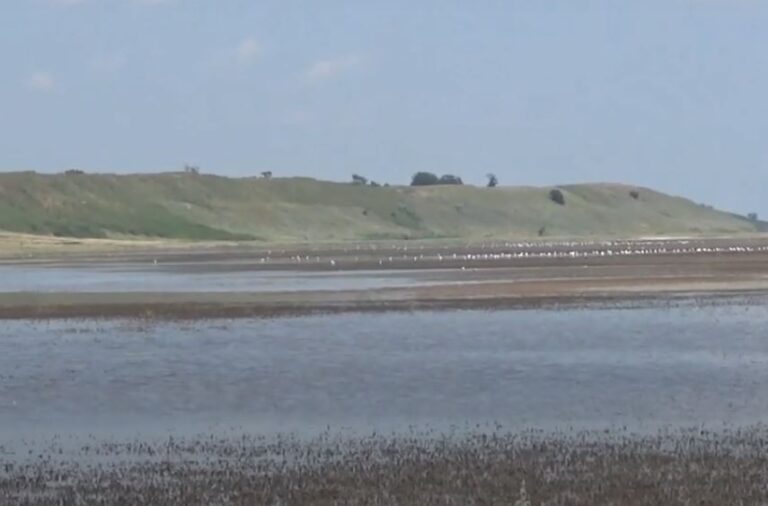 Хроники Молочного лимана: житель Запорожской области показал, что сейчас там происходит (ВИДЕО)