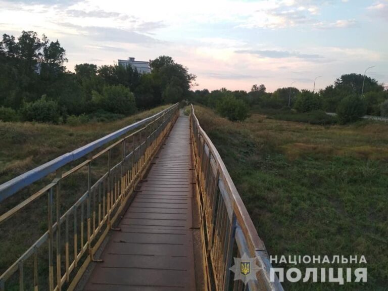 В Запорожской области хозяин сбросил с моста собаку: появились подробности (ФОТО)