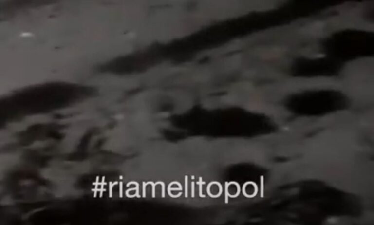 Не медузами едиными: на Азовском море появилась новая напасть (ВИДЕО)