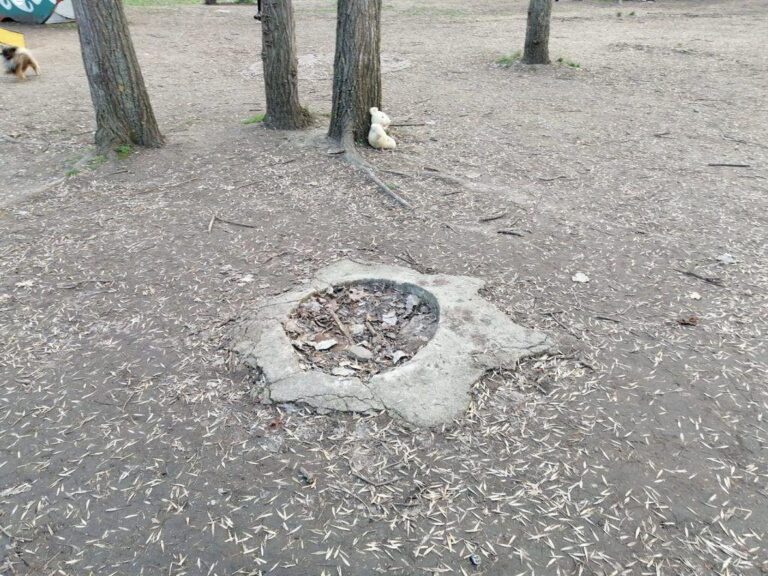 Трагедия в Запорожье: чиновнику объявили подозрение после смерти ребенка