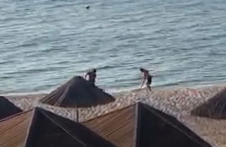 Сервис, как в Египте: как на запорожском курорте встречают отдыхающих (ВИДЕО)