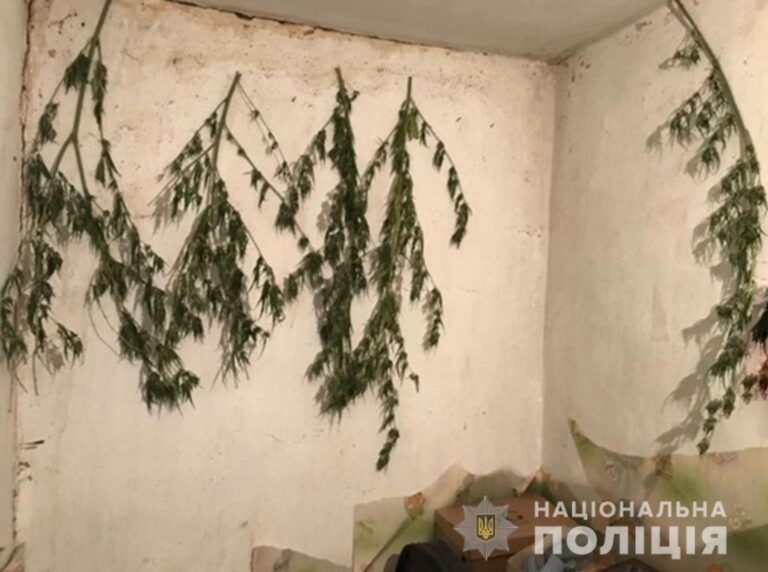 Житель Запорожья вырастил и засушил «незаконный» гербарий (ФОТО)