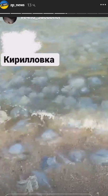 Штиль и медузы: отдыхающие показали, что сейчас происходит в Кирилловке (ФОТО)