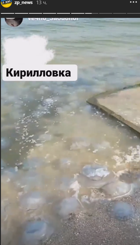 Штиль и медузы: отдыхающие показали, что сейчас происходит в Кирилловке (ФОТО)