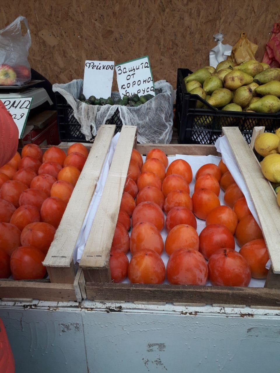 Курьёз: на запорожском рынке продают «защиту от коронавируса» (ФОТО)