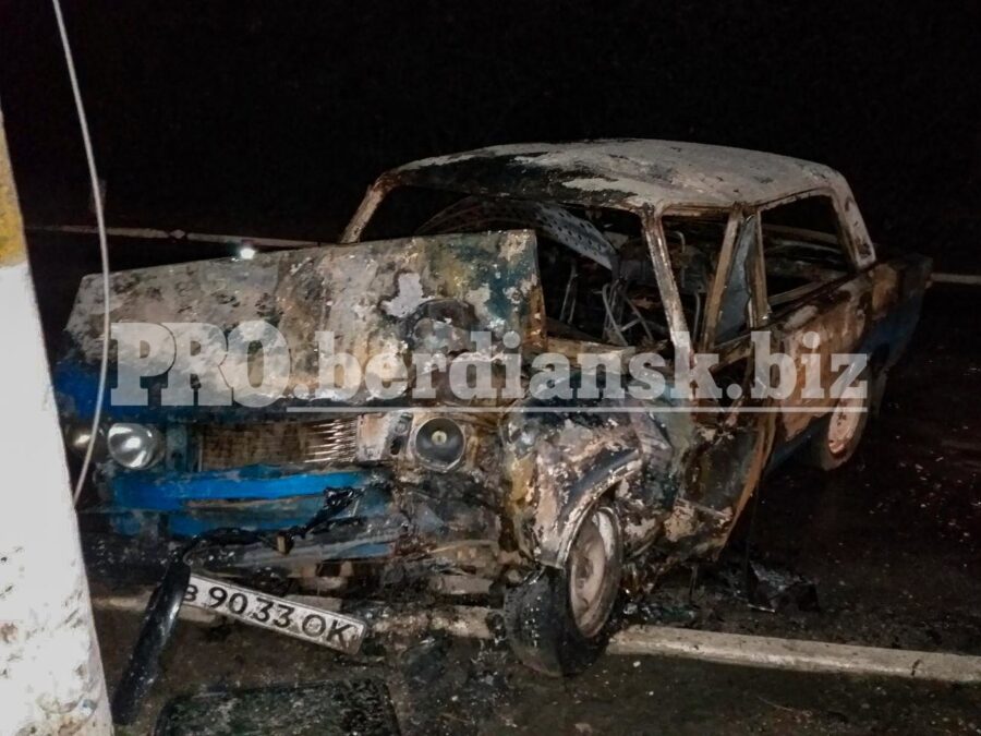 Жуткое ДТП в Запорожской области: водитель сгорел заживо в машине (ФОТО)