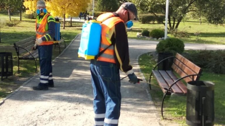 В Запорожье парки обработали специальным раствором