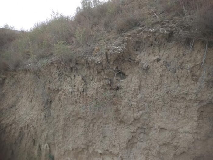 Остался лишь скелет: на берегу Азовского моря обнаружили старинное захоронение (ФОТО)