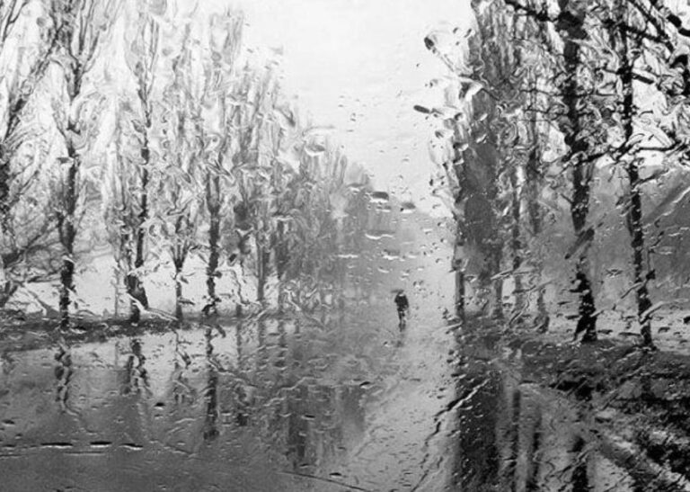 В Запорожской области ухудшится погода: объявлено штормовое предупреждение