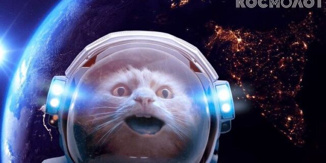 Игровая площадка Космолот – общий обзор