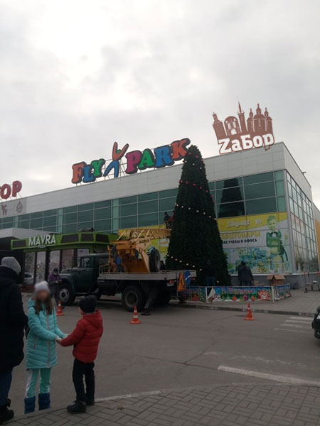 В Запорожье начали устанавливать новогодние елки (ФОТО)