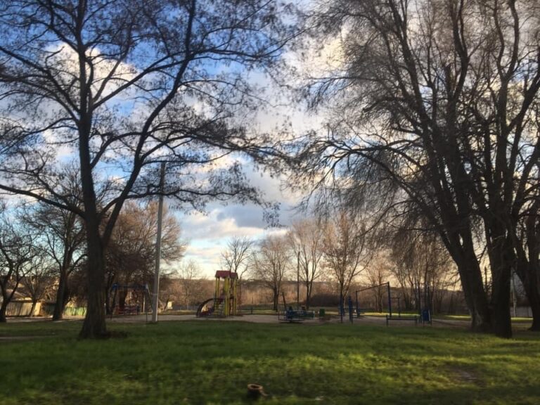 В Запорожье в ходе ремонта квартиры обнаружили краснокнижных животных (ФОТО)