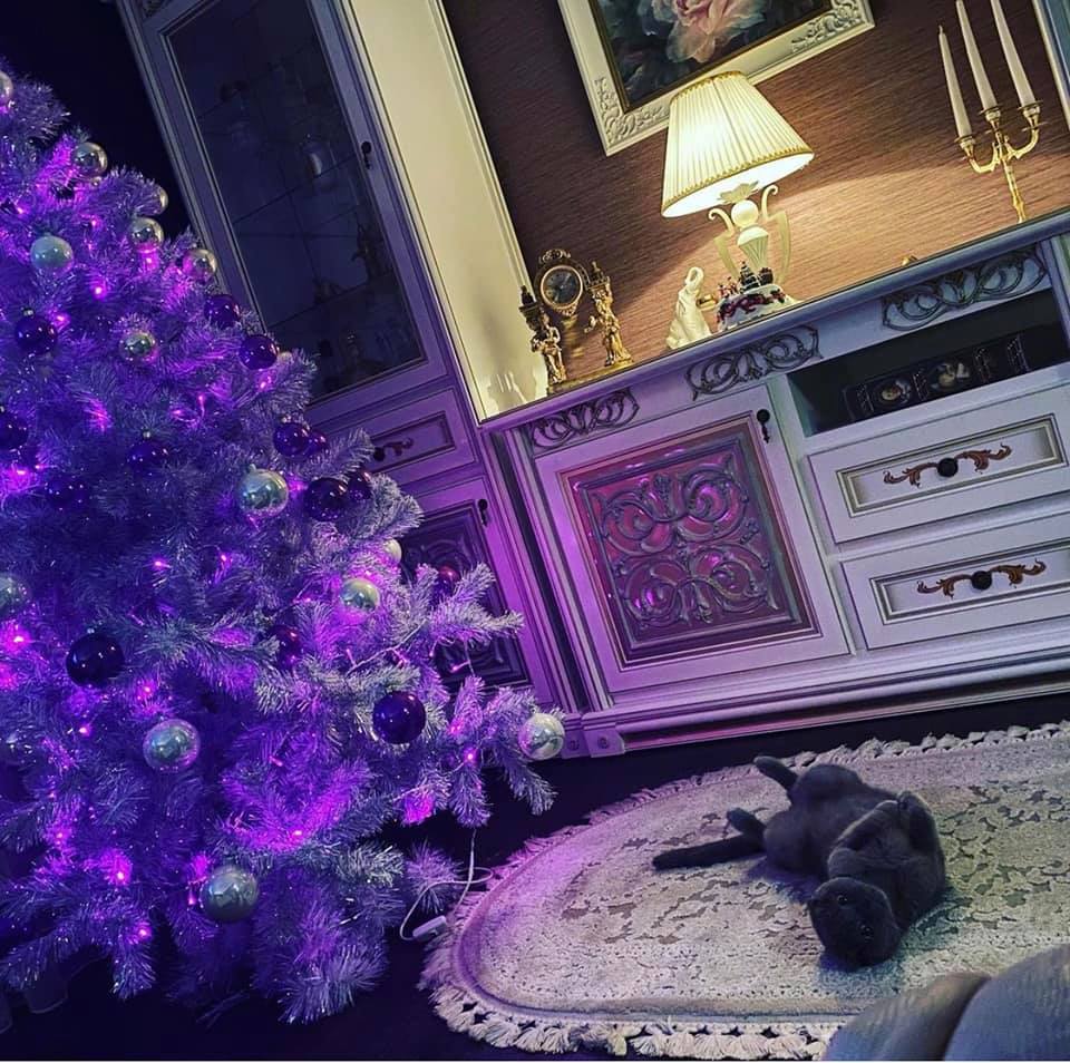 Коты и ёлки: запорожцы поделились забавными фотографиями последствий в соцсетях (ФОТО)