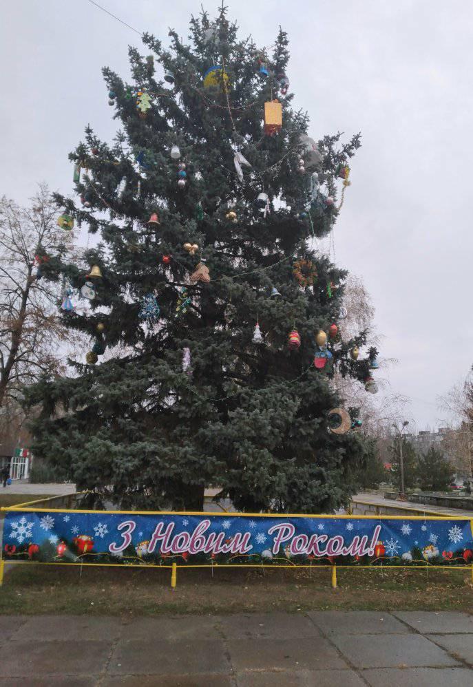 Новогодние елки установили в каждом районе Запорожья: как их украсили (ФОТО)