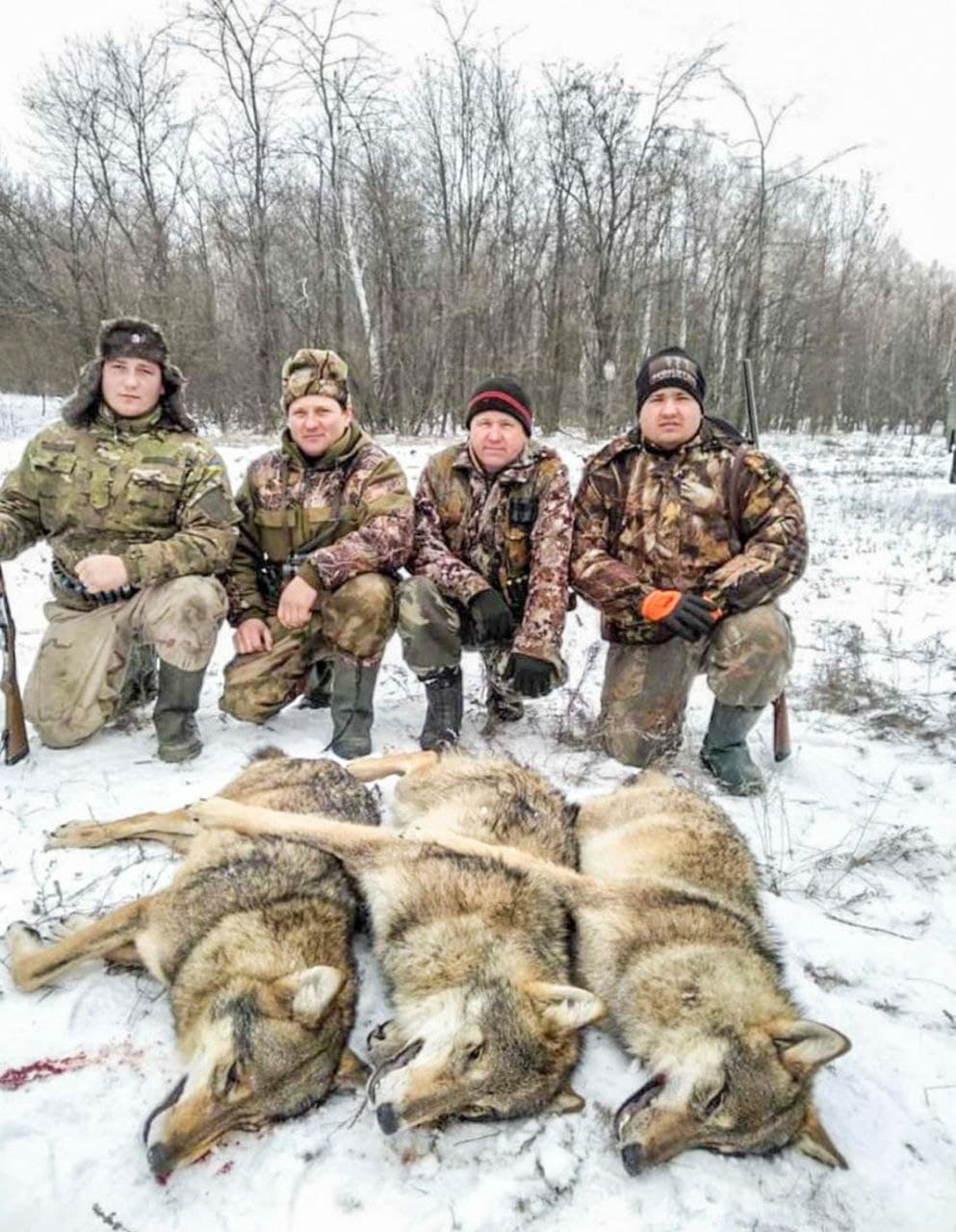 В Запорожской области охотники расправились со стаей волков (ФОТО)