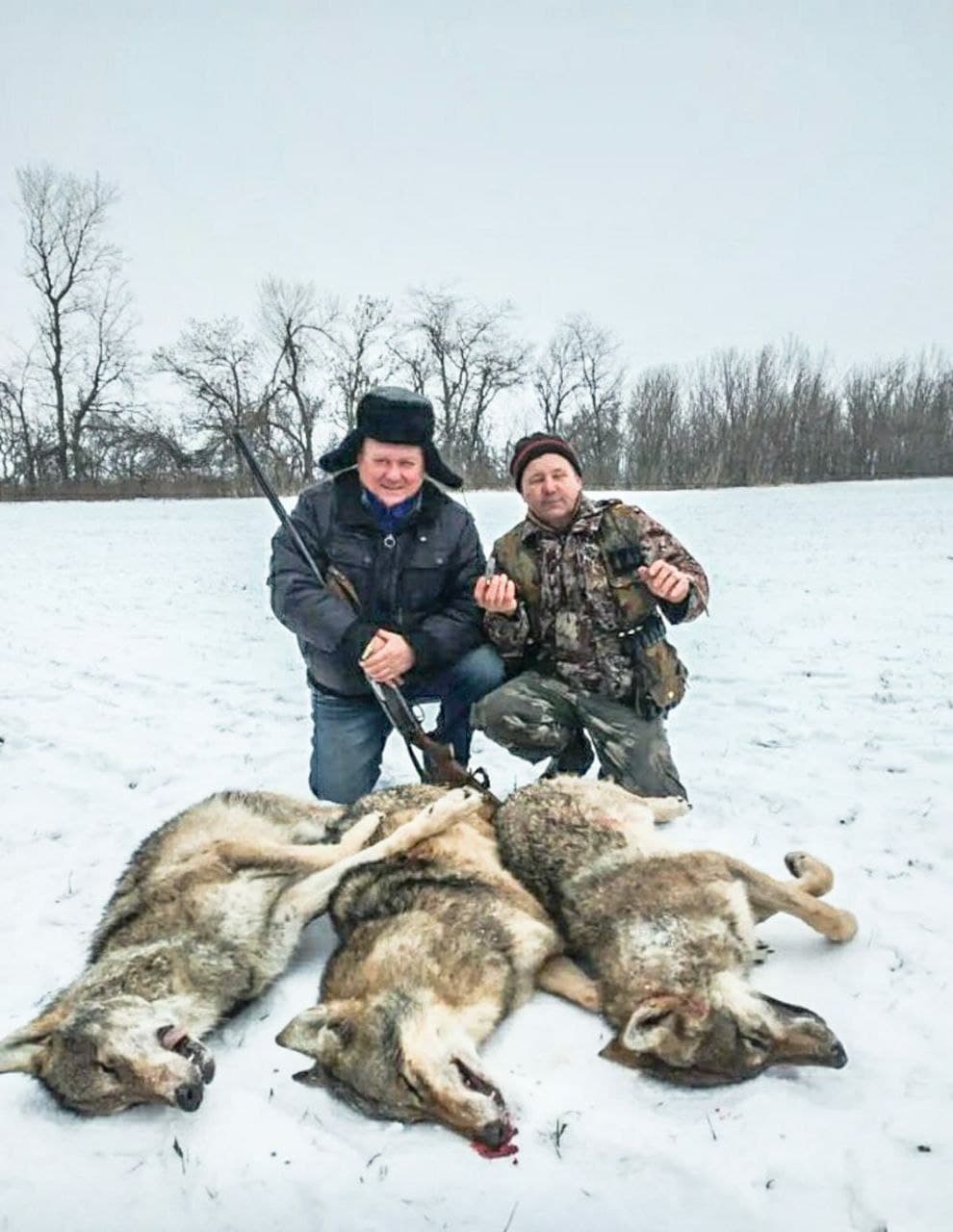 В Запорожской области охотники расправились со стаей волков (ФОТО)