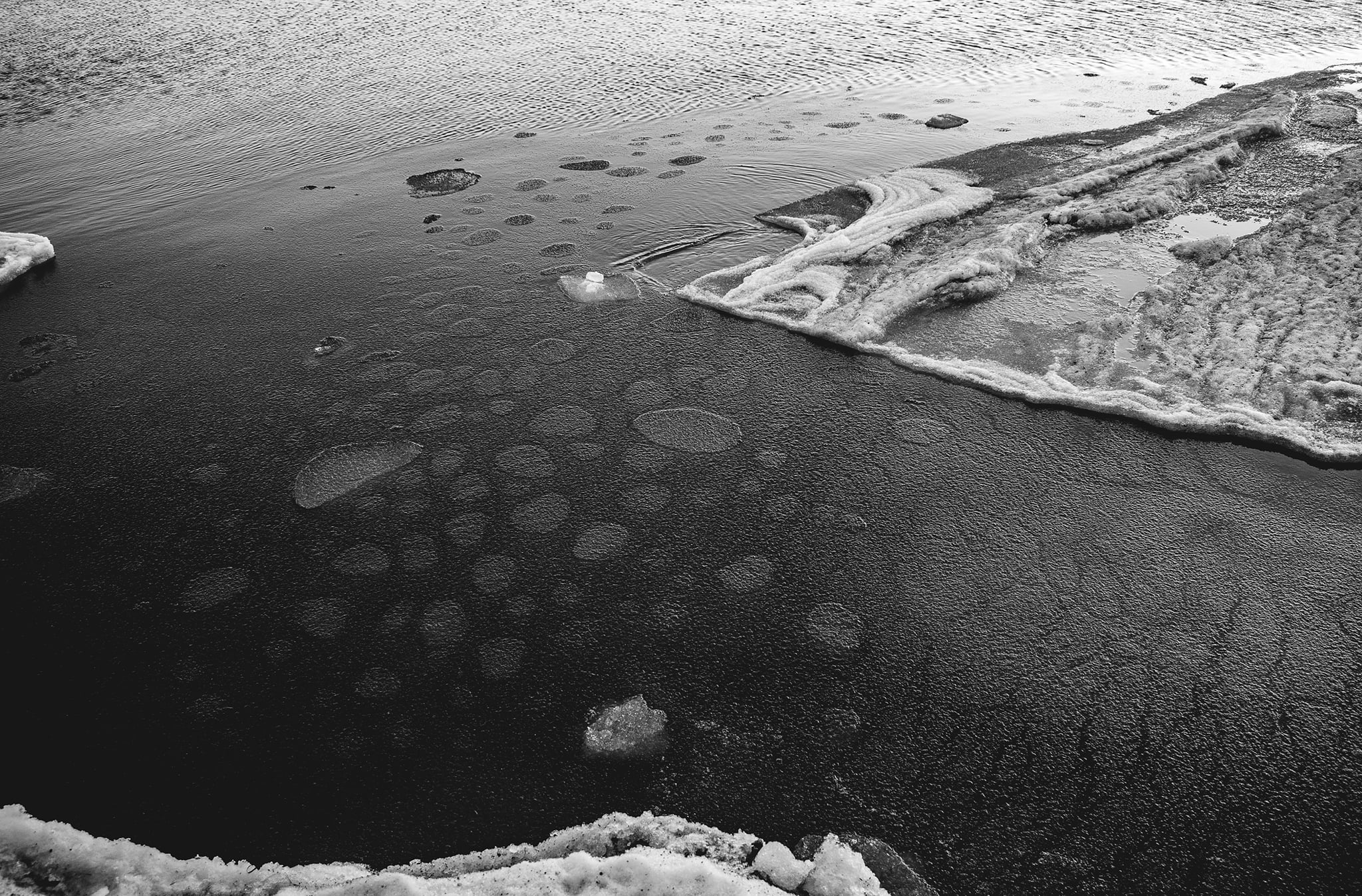 В курортном городе Запорожской области в Азовское море вмёрзли медузы (ФОТО)