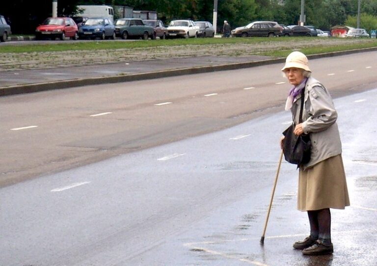 В Запорожской области пенсионерка создала аварийную ситуацию на дороге (ВИДЕО)
