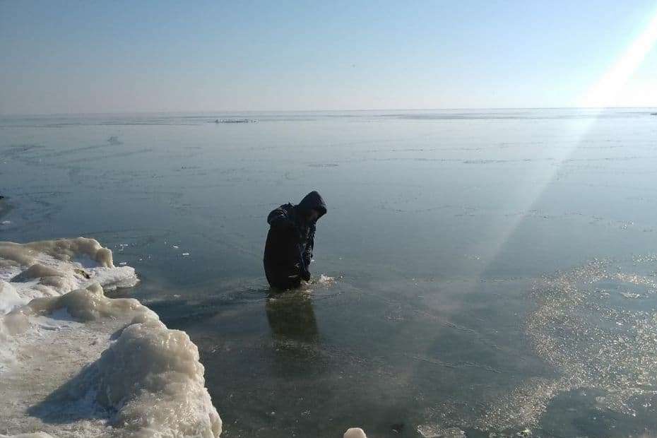 Ледяной плен: в Запорожской области на море ко льду примёрз лебедь (ВИДЕО)