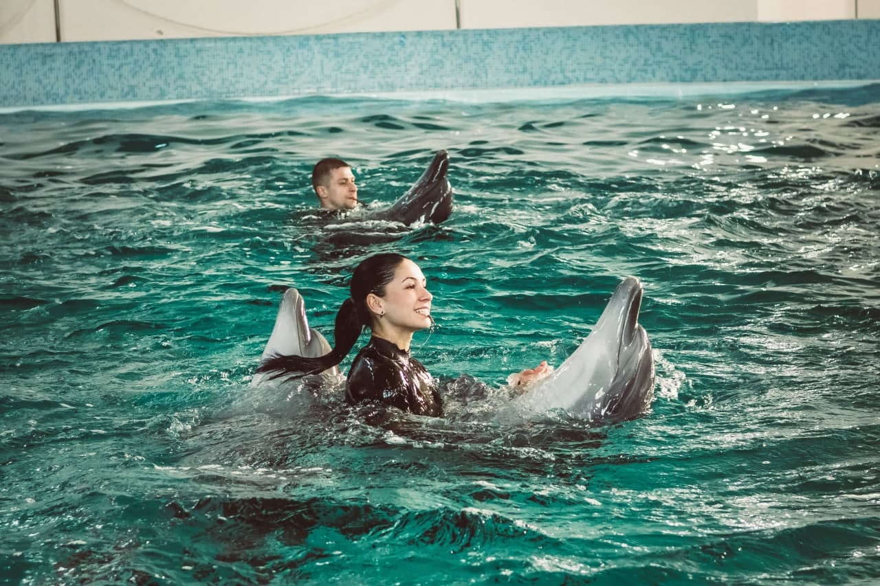 Этим летом гостей дельфинария "Оскар" в Кирилловке ожидает обновленная шоу-программа