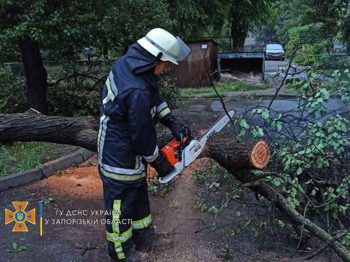 В Запорожской области из-за дождя затопило дома: результат непогоды показали спасатели (ФОТО)