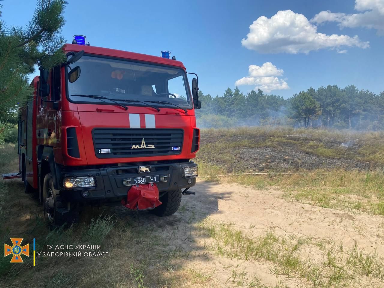Стало известно, сколько гектаров леса сгорело на запорожской Хортице (ФОТО)
