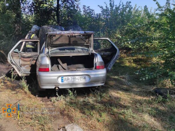 Под Запорожьем авто слетело с трассы, врезалось в дерево и загорелось (ФОТО)