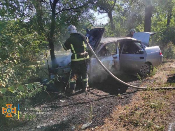 Под Запорожьем авто слетело с трассы, врезалось в дерево и загорелось (ФОТО)
