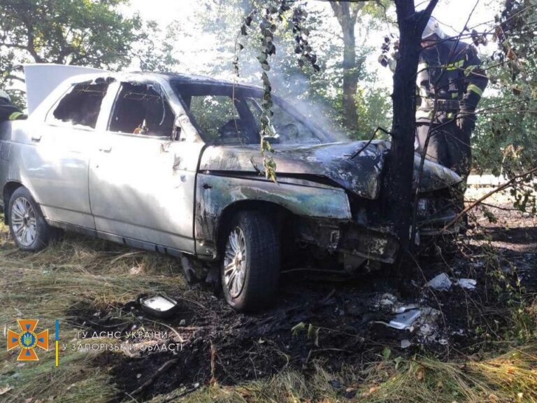 Под Запорожьем авто слетело с трассы, врезалось в дерево и загорелось (ФОТО)