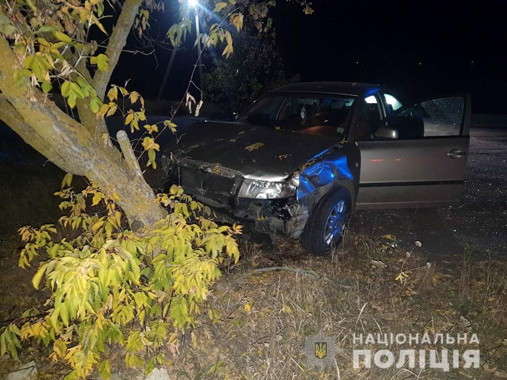 Парень погиб на месте: подробности ночной аварии в Запорожской области (ФОТО)