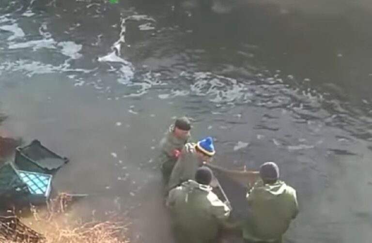 В сети опубликовали ВИДЕО спасательной операции в лимане в Запорожской области