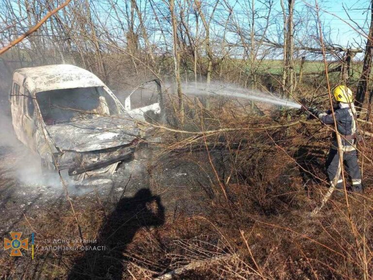 В Запорожской области авто слетело в кювет и загорелось: есть пострадавшие (ФОТО)