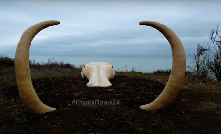 На берегу Азовского моря появился уникальный арт-объект (ФОТО-ВИДЕО)