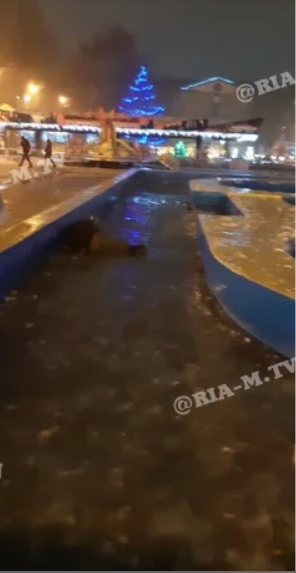 В Запорожской области в фонтане едва не замерз мужчина (ФОТО)