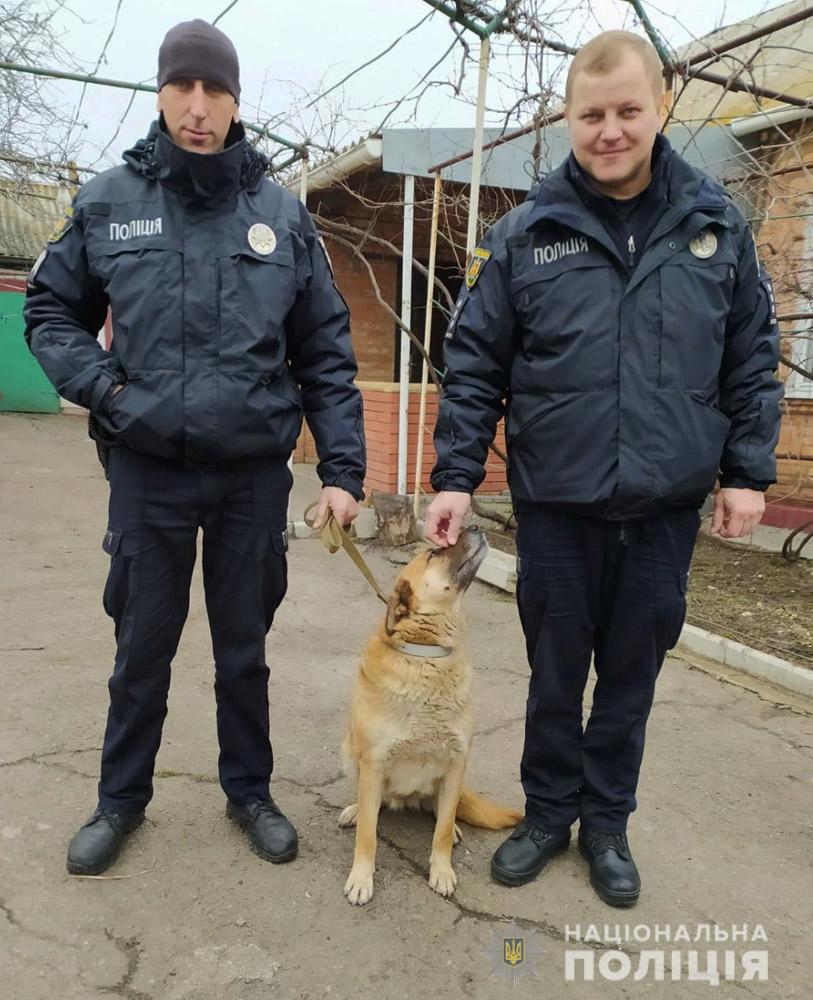 Украли собаку: в полиции рассказали подробности ЧП в Запорожской области (ФОТО)