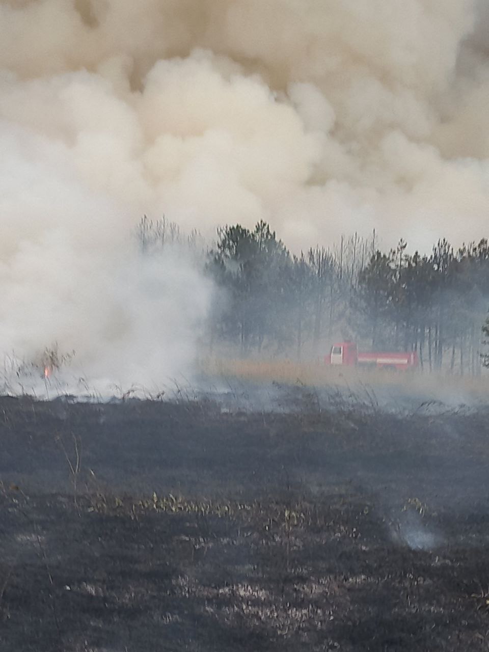 Заповедная Кинбурнская коса в оккупации до сих пор страдает от лесных пожаров