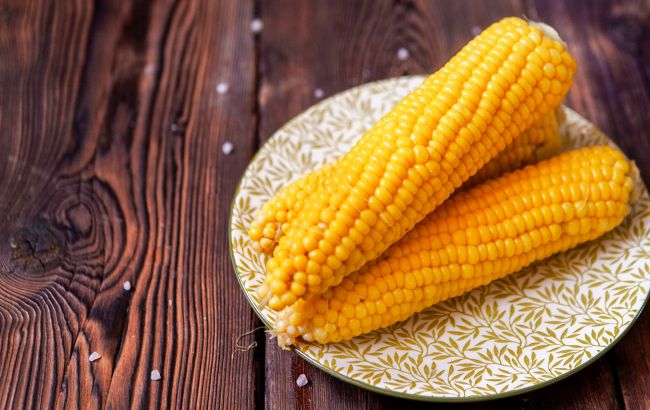 Сезон кукурудзи. Чи корисна «королева полів» та чи можна її при схудненні