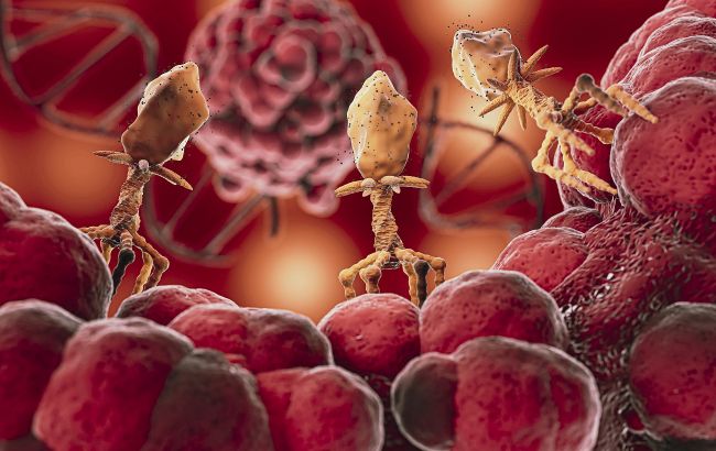 Як підняти гемоглобін у домашніх умовах: поради та список продуктів