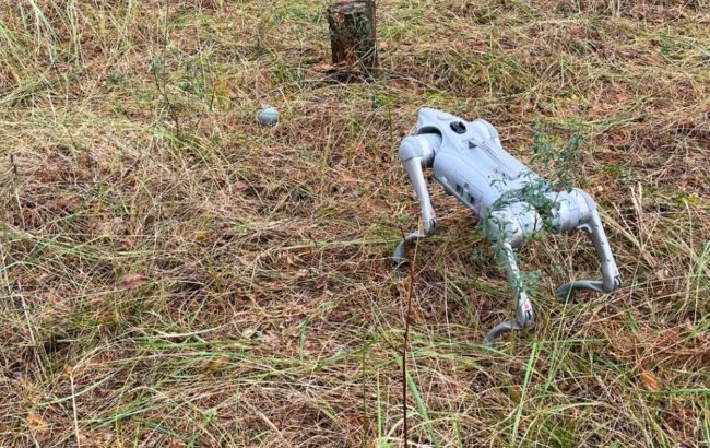 Робопес допоміг рятувальникам знайти боєприпаси після обстрілу: у ДСНС показали фото