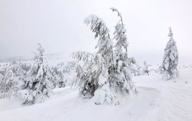 У Карпатах намело до 80 см снігу: рятувальники показали, що відбувається (фото)_6901e412e78f9.jpeg